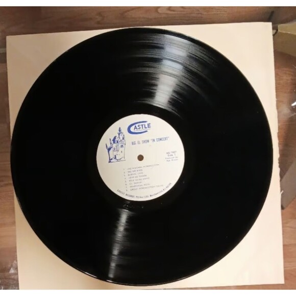 Rare Elvis: The Big El Show "In Concert" Audio Vinyl 33 Record Castle / NS 1007 - Picture 4 of 5